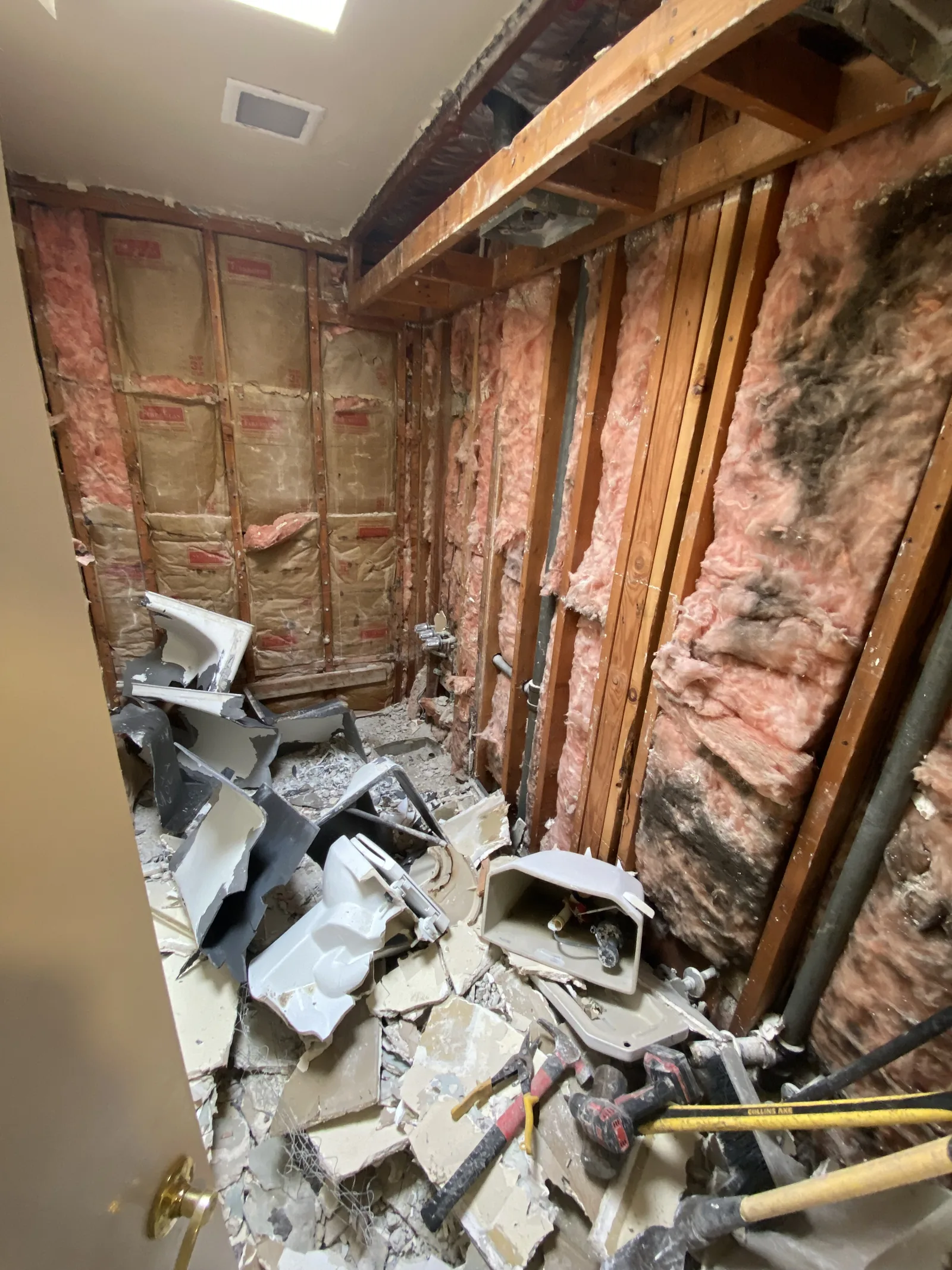 Demolition complete, with walls stripped to the studs and insulation and old fixtures broken down on the floor
