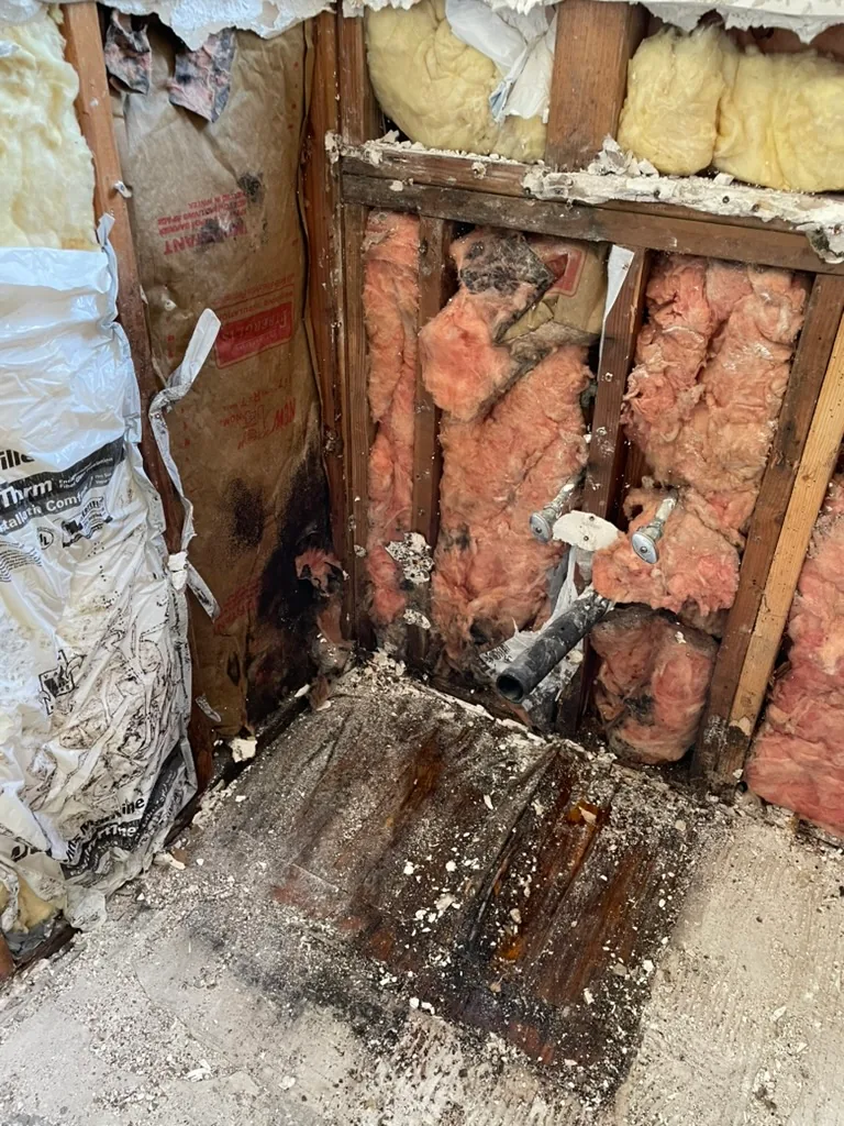 Water-stained framing and insulation in the old shower corner, above a darkened subfloor