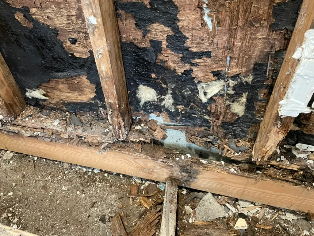 Rotted, crumbling sheathing with a black coating between the studs at the base of a wall