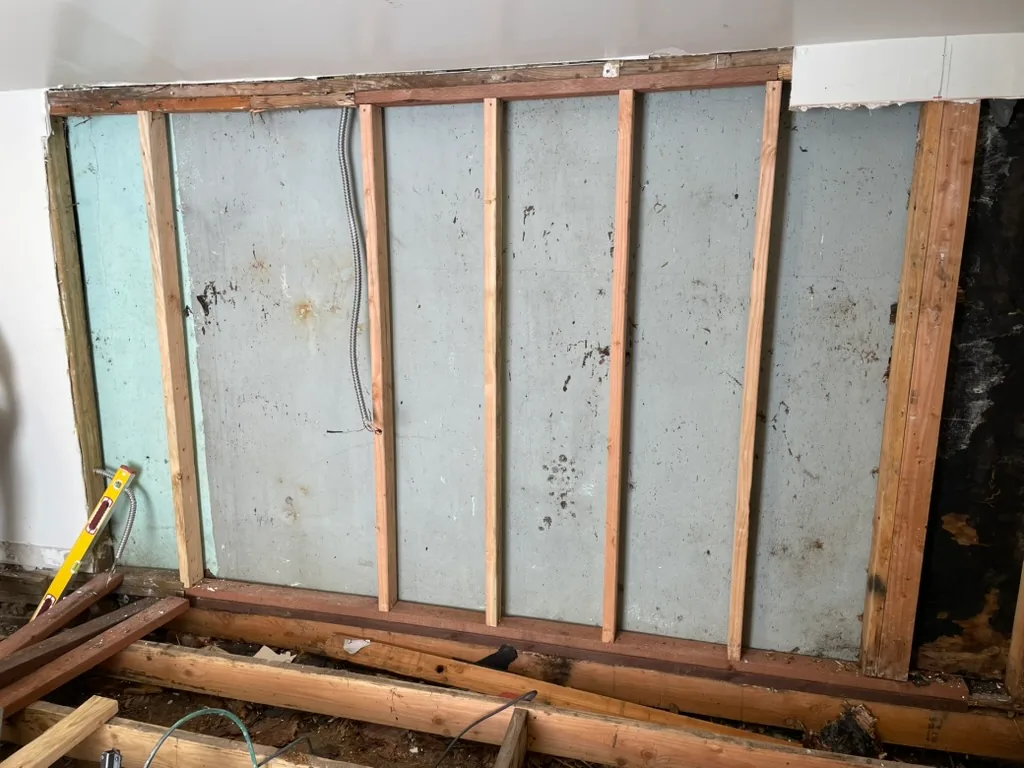 The opened shared wall, with the neighbor's grey stucco directly behind the studs