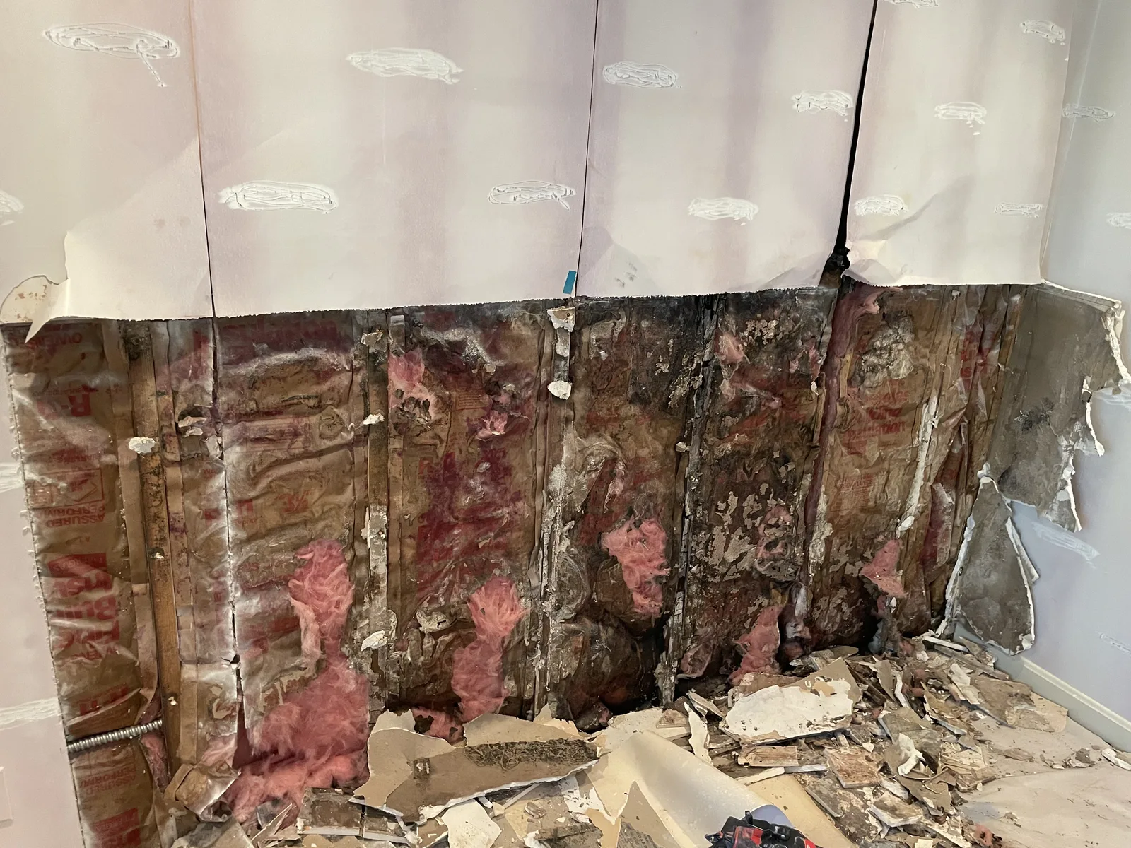A section of wall removed down to the studs, with mold on the framing and insulation