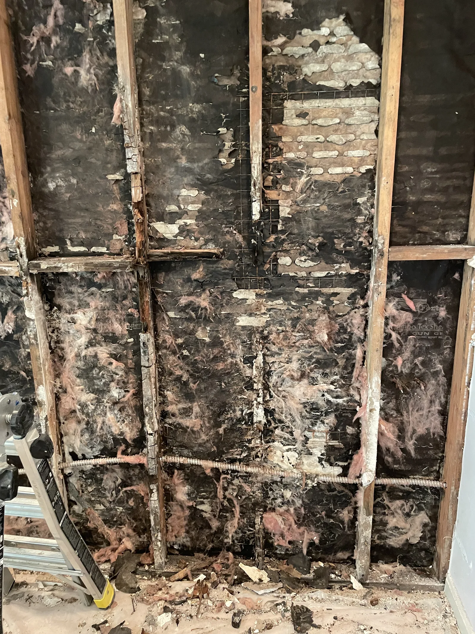 A close view of wall framing and insulation stained black with mold