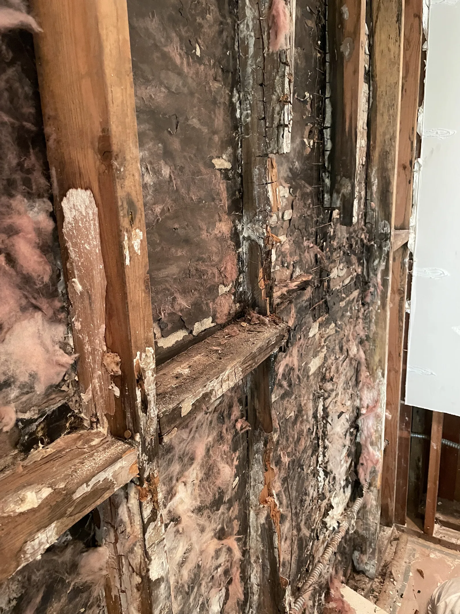 A close view of a wall stud with rot and mold damage