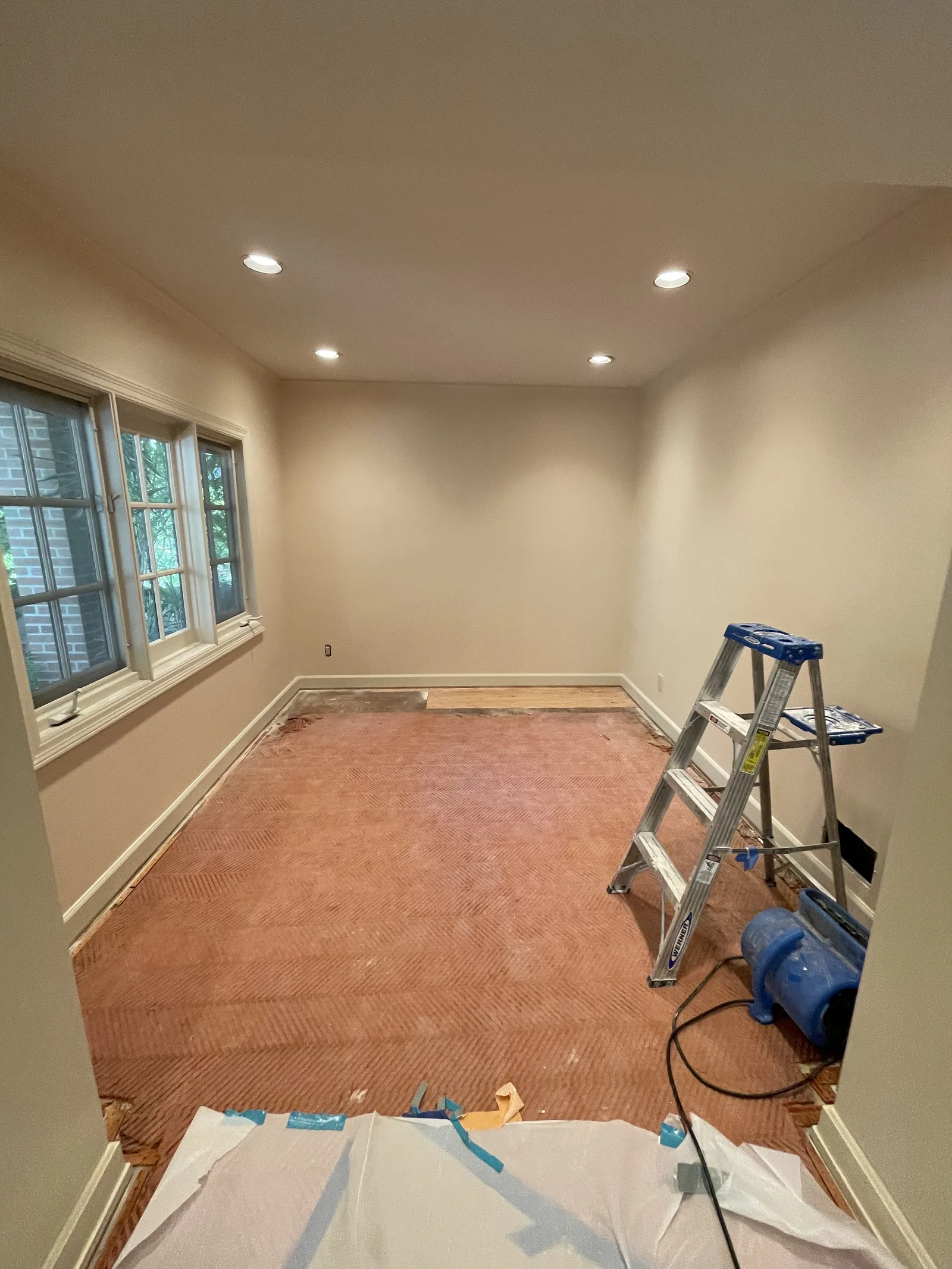 A freshly painted room with floor protection still down