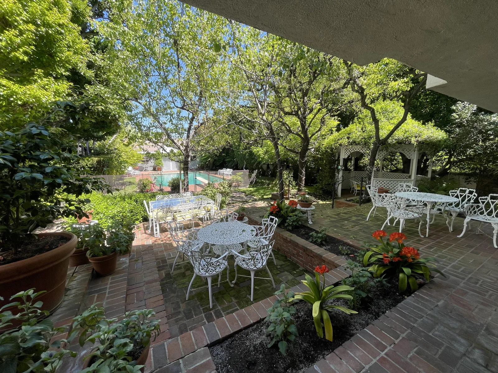 A backyard garden and pool