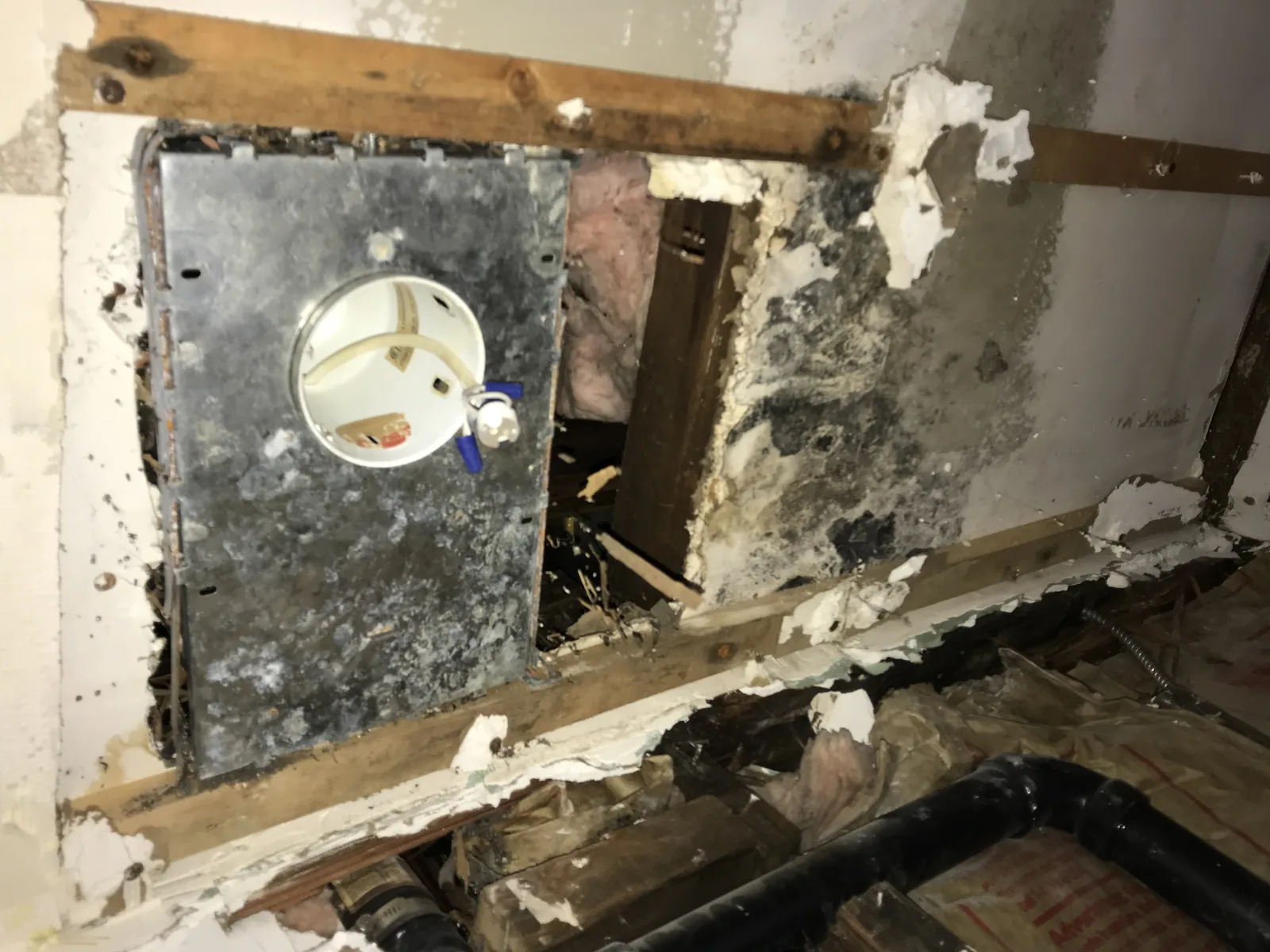 Water damage and dark mold staining exposed inside a wall cavity near the kitchen