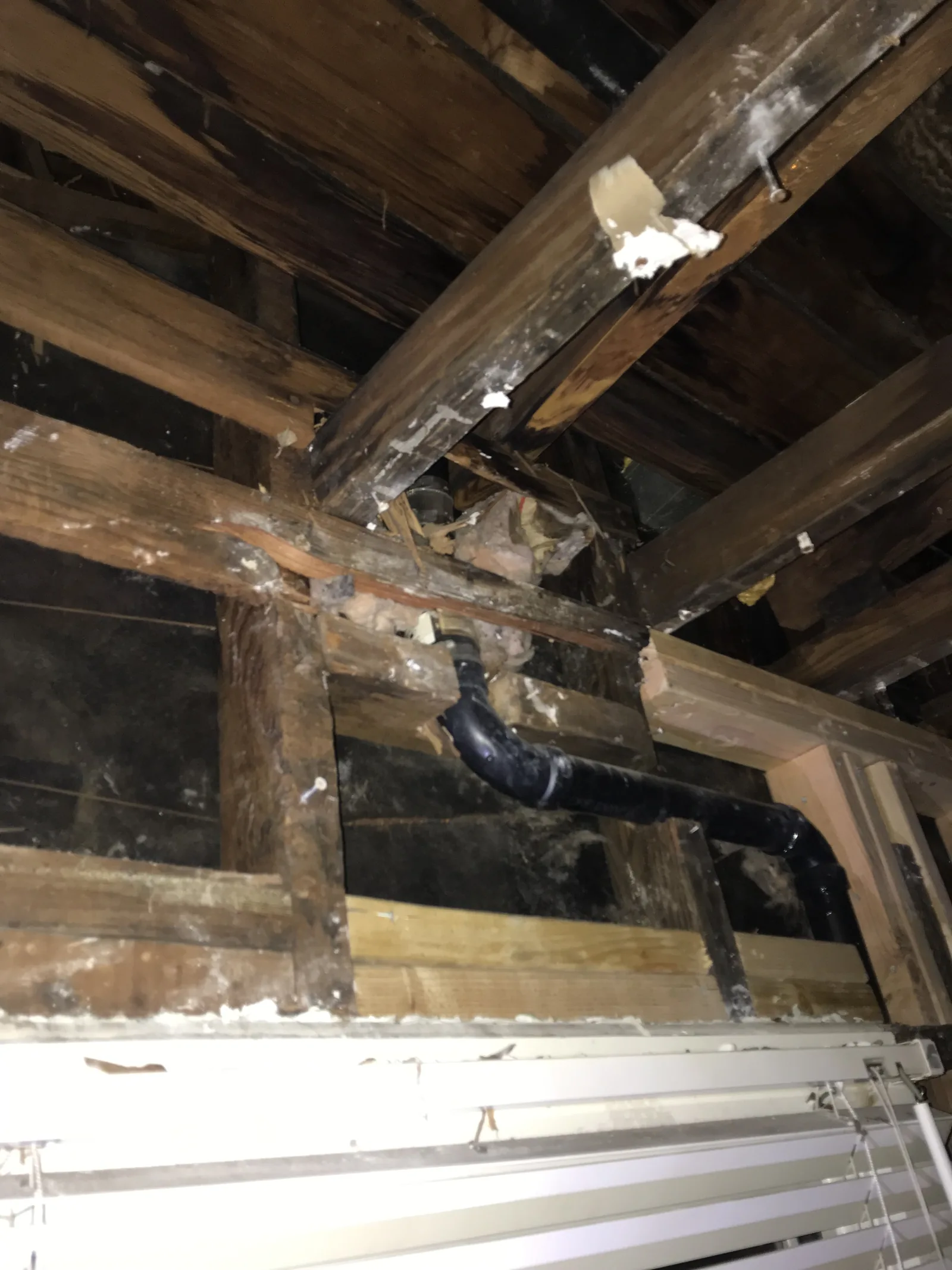 New plumbing pipe routed through open attic framing