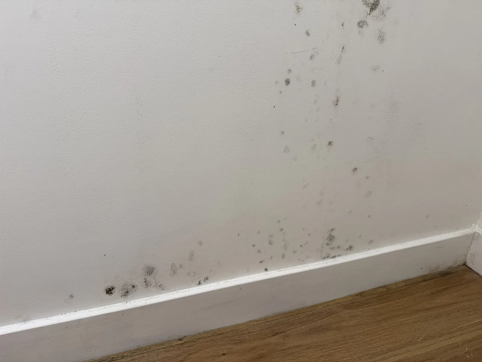 Dark water staining along an interior wall and baseboard