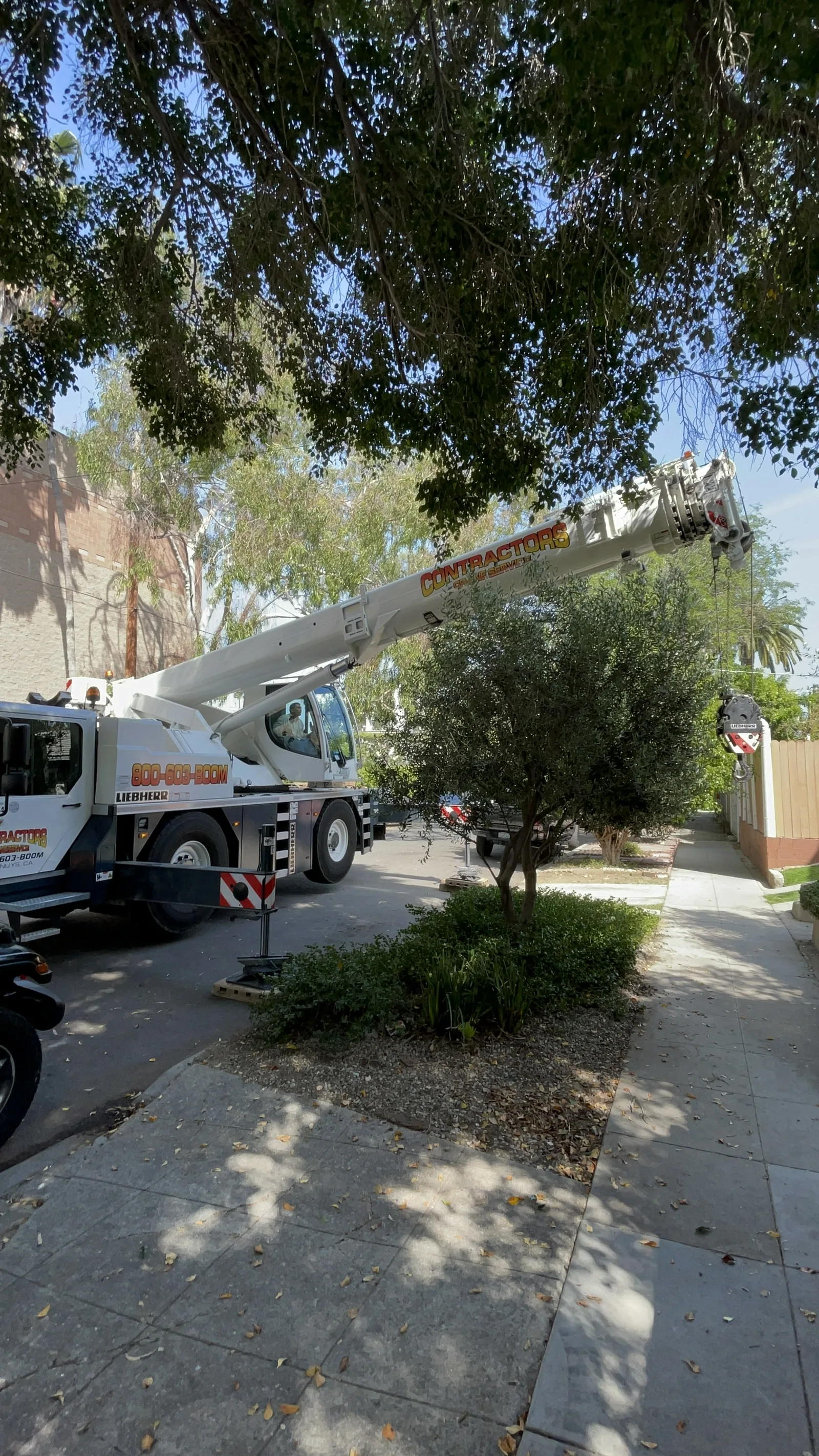 A mobile crane truck extended over a tree-lined residential street