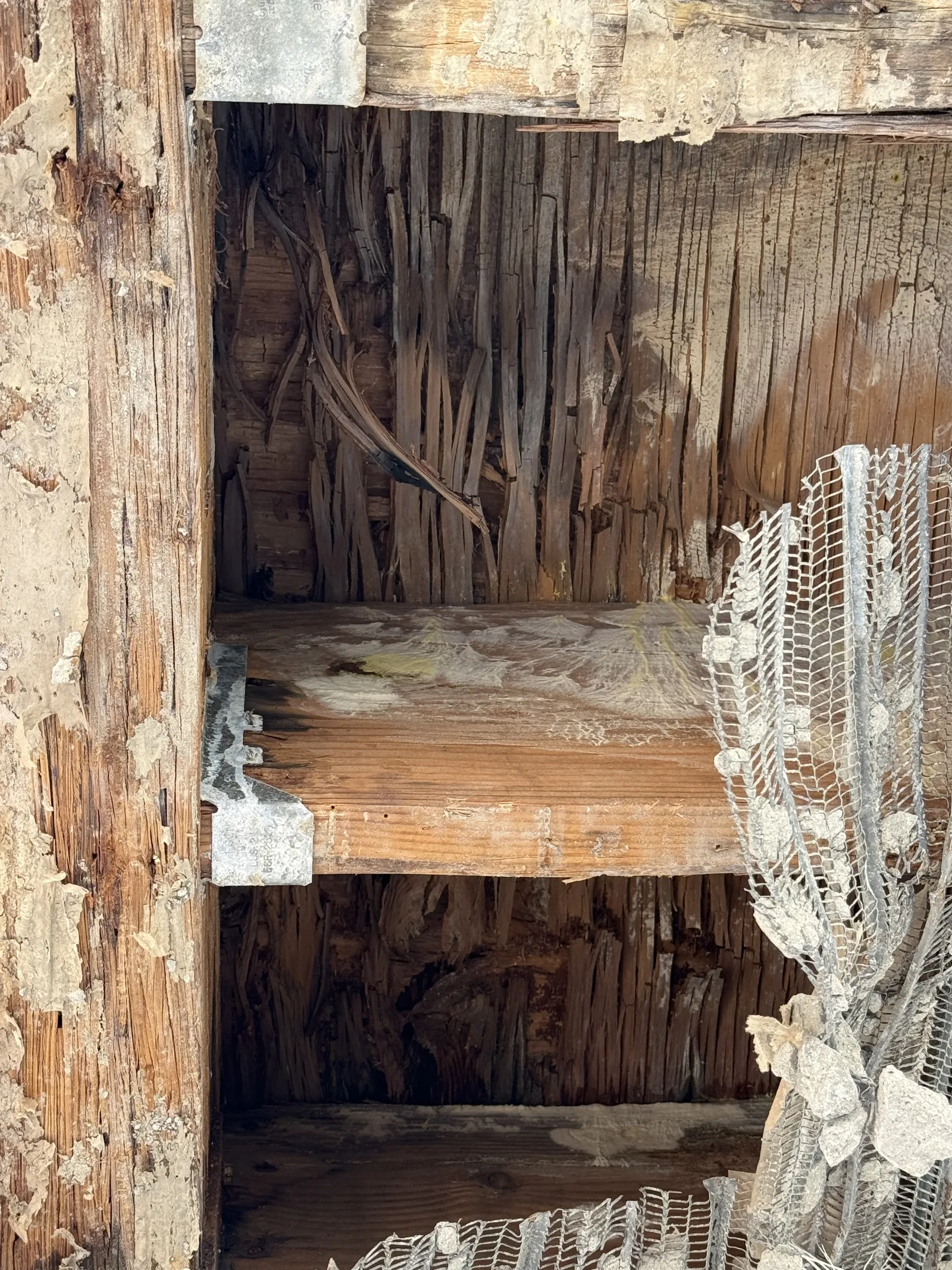 A close view of rotted wood framing inside an opened wall cavity