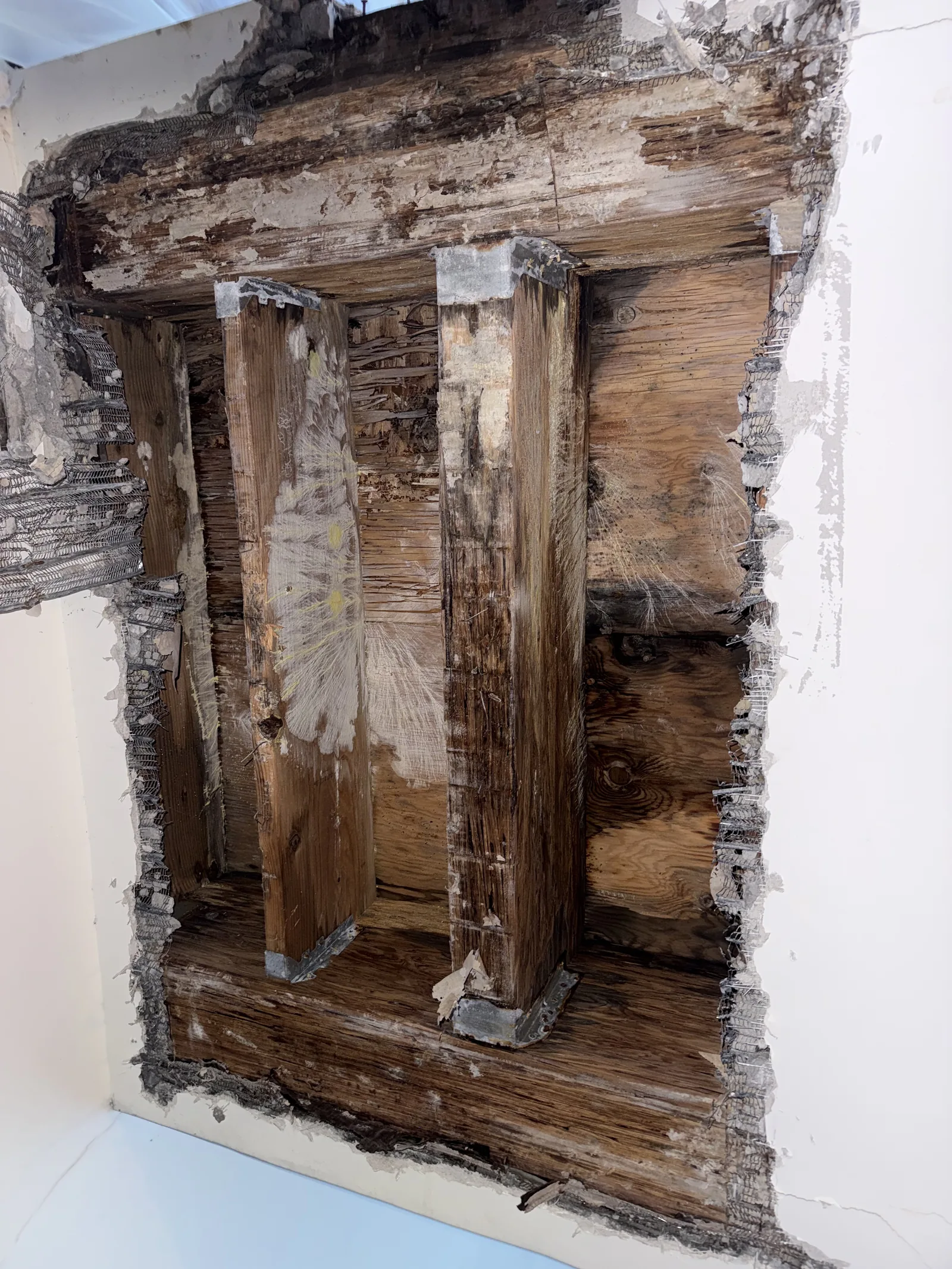 Severely rotted wood framing columns exposed inside an opened wall