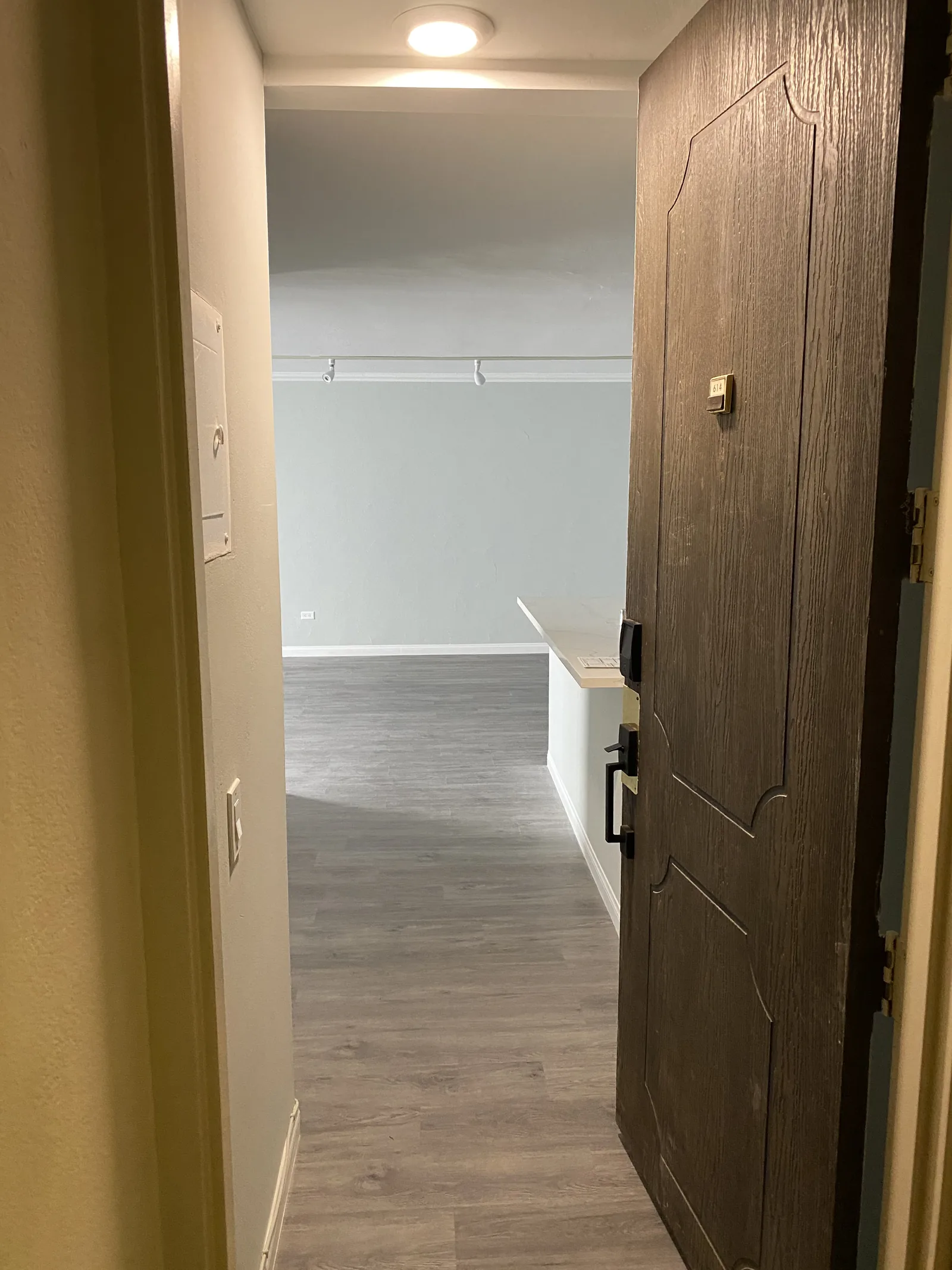 A view from the front door into the finished hallway and living space with new flooring throughout